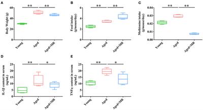 Methionine Restriction Improves Gut Barrier Function by Reshaping Diurnal Rhythms of Inflammation-Related Microbes in Aged Mice